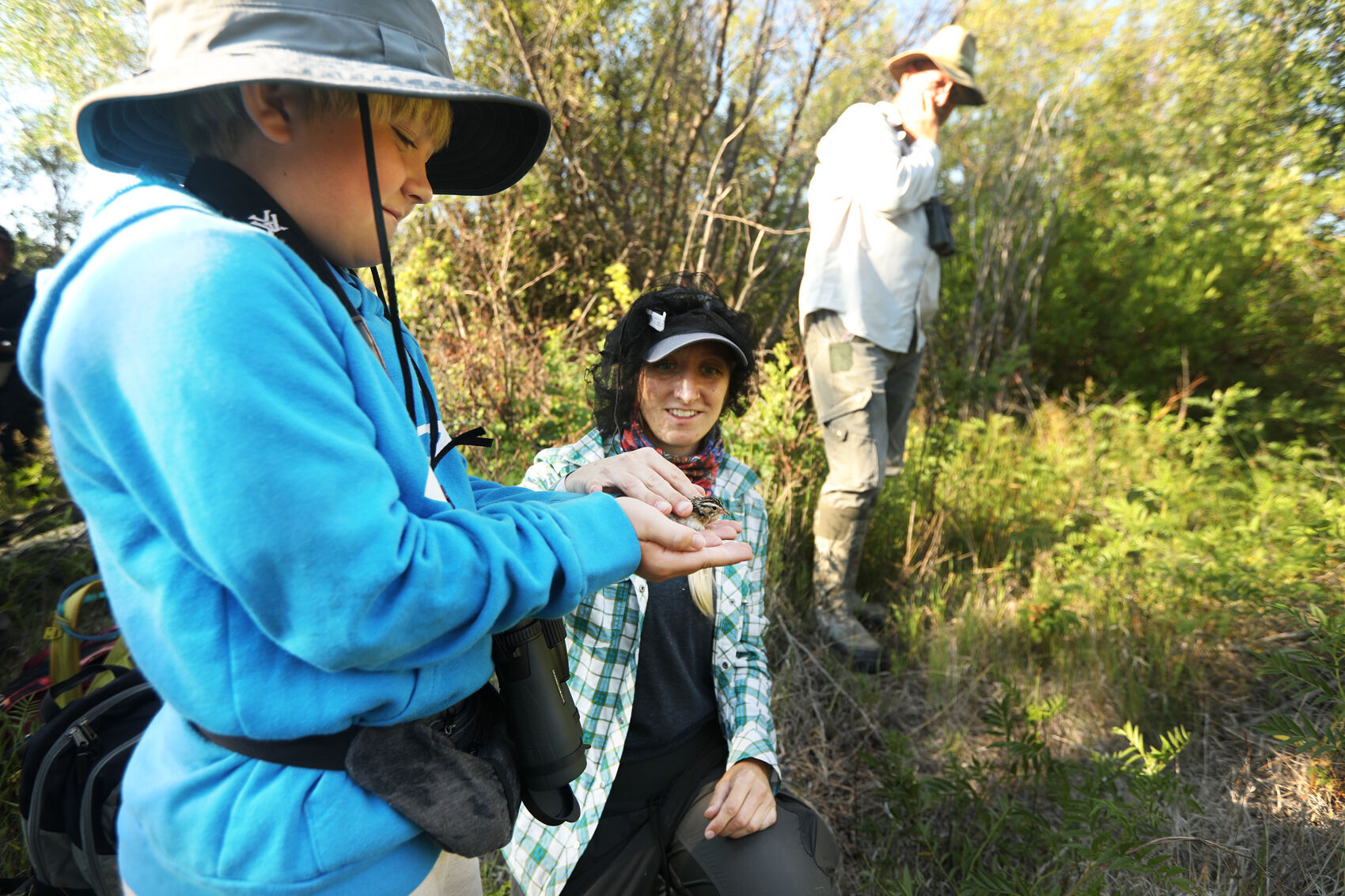 Bird study and banding on the Upper Clark Fork River